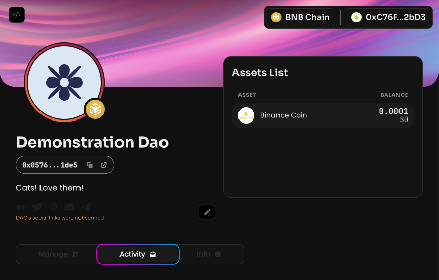 The Activity page displays activity in the DAO. On this page you can see: